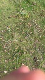 vampirexslayerx — Cam4 stream photo (Jan 2026)