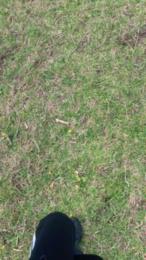 vampirexslayerx — Cam4 stream photo (Jan 2026)