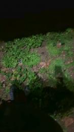 vampirexslayerx — Cam4 stream photo (Jan 2026)