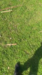 vampirexslayerx — Cam4 stream photo (Feb 2026)