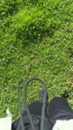 vampirexslayerx — Cam4 stream photo (Feb 2026)