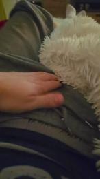 kevin050053 — Cam4 stream photo (Apr 2026)
