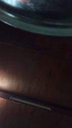 yara47 — Cam4 stream photo (Mar 2026)