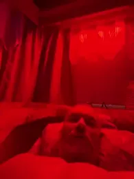 rockburgwithdirty — Stripchat stream photo (Sep 2026)
