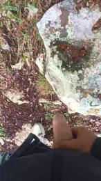 0M0A0X_ — Cam4 stream photo (Sep 2025)