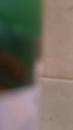 Orazioberretti — Cam4 stream photo (Jun 2026)