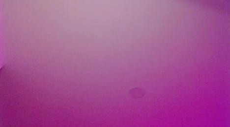 maximo_torreychelli012 — Stripchat stream photo (May 2023)