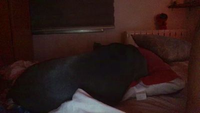 gorka19hot — modelo de webcam en línea en cam4