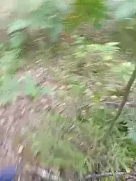 demoniczny82 — Stripchat stream photo (Aug 2025)