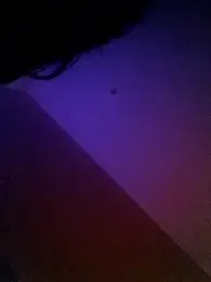 Donostiipar — Stripchat stream photo (Jun 2026)