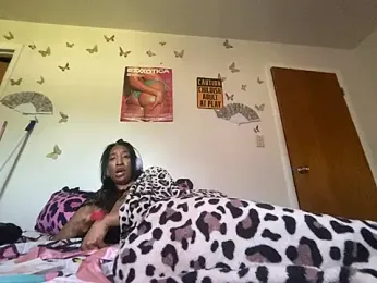 LeBimbo — Stripchat stream photo (May 2026)