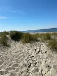 friemeldepiemel — Stripchat stream photo (May 2026)