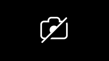 DaHomieDubs_ — Stripchat stream photo (Jun 2025)