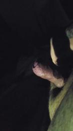 ChubbyRobby2609 — Cam4 stream photo (Apr 2026)