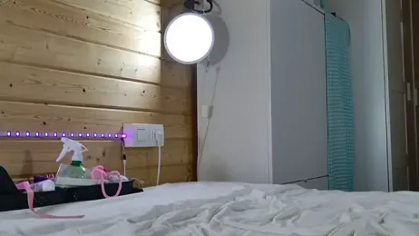 wild41 — Stripchat stream photo (May 2026)