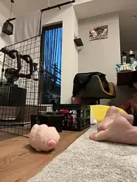 ken_0927 — Stripchat stream photo (Mar 2026)