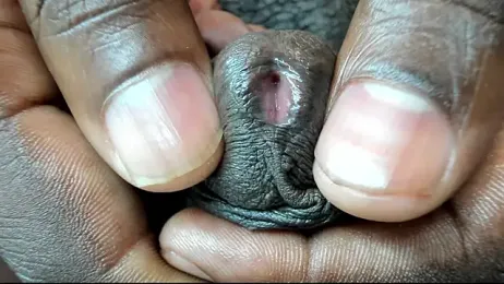 Black_Master19cm — Stripchat stream photo (Nov 2025)