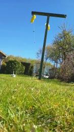 tomtoy29 — Cam4 stream photo (Apr 2026)