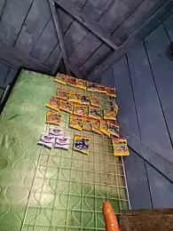 Evehamp — Stripchat stream photo (Apr 2026)