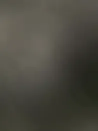 hotbofdad — Stripchat stream photo (Feb 2026)