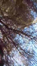 Xlandaluz — Cam4 stream photo (May 2026)