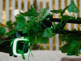 FlowwwerGirl — Bongacams stream photo (Mar 2026)