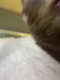 Thebald-topher — Stripchat stream photo (Oct 2025)