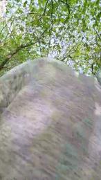 Socke72 — Cam4 stream photo (Apr 2026)