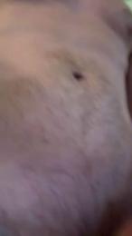 Ryno — Cam4 stream photo (Aug 2026)