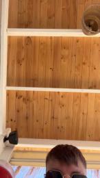 alex223 — Cam4 stream photo (Aug 2026)