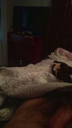 davidof3127 — Cam4 stream photo (Apr 2026)