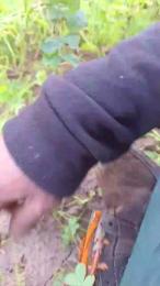 Lurio — modelo de webcam en línea en cam4