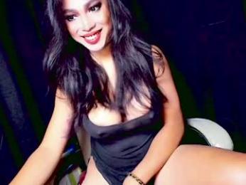 sexylongcockbunny — modelo de webcam en línea en chaturbate