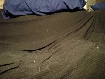 caseycasual24 — chaturbate