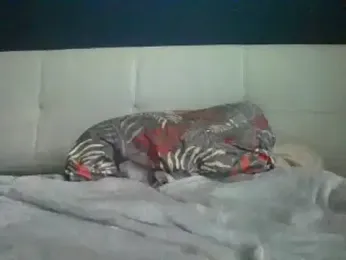 sasihasi98 — Stripchat stream photo (Aug 2025)