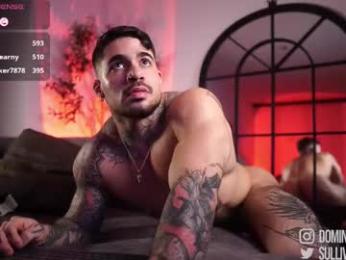 dominic_sullivan1 — modelo de webcam en línea en chaturbate