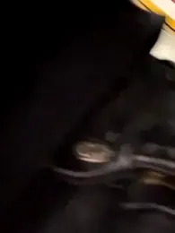 BMW611 — Stripchat stream photo (Dec 2023)