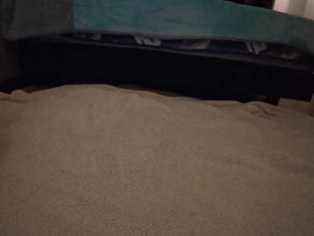 Palmer404 — Bongacams stream photo (Nov 2025)