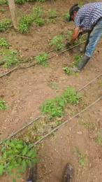 jo23_xxx — Cam4 stream photo (Apr 2026)