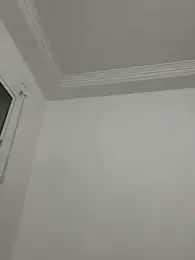 HitShelf — modelo de webcam en línea en stripchat