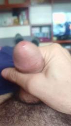 Plinplinn — Cam4 stream photo (Feb 2026)