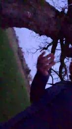 Gym2 — Cam4 stream photo (Mar 2026)