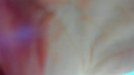 AishaRouhi — modelo de webcam en línea en stripchat