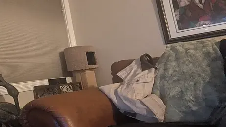 publicfun206xxx — Stripchat stream photo (Mar 2026)