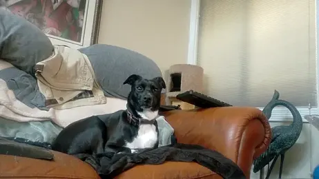 publicfun206xxx — Stripchat stream photo (Mar 2026)