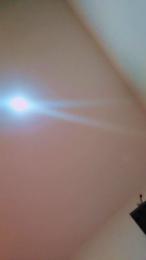 Roxannepiggy — Cam4 stream photo (Apr 2026)