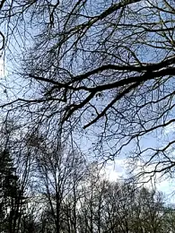 Nikeyone2 — Stripchat stream photo (Mar 2026)