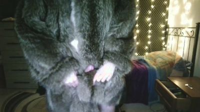 PupFluff — Cam4 stream photo (May 2026)