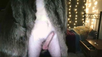 PupFluff — Cam4 stream photo (May 2026)