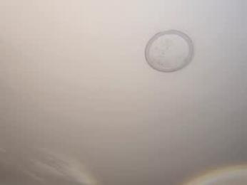 isa_cortes_ — modelo de webcam en línea en chaturbate
